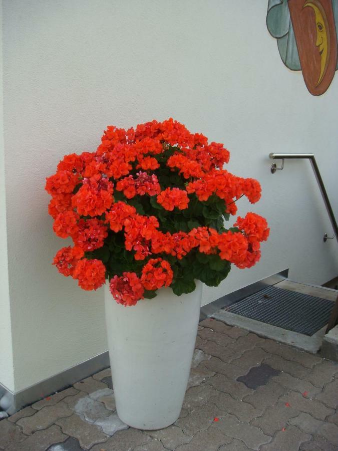 B&B Haus Gruener Olang Exterior foto